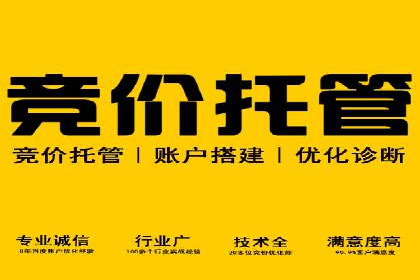 某行业信息流广告投放效果分析报告
